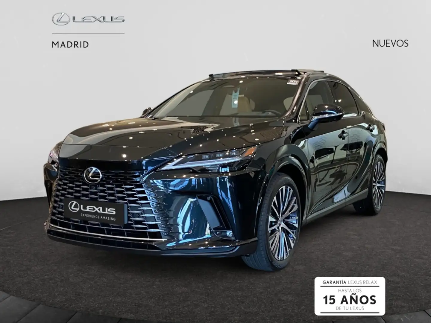 Lexus RX 450h 450h+ Executive Negro - 2