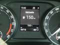 Skoda Octavia 4x4 Ambition TDI DSG Schwarz - thumbnail 9