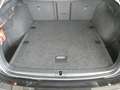 Skoda Octavia 4x4 Ambition TDI DSG Schwarz - thumbnail 27