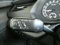 Skoda Octavia 4x4 Ambition TDI DSG Schwarz - thumbnail 13