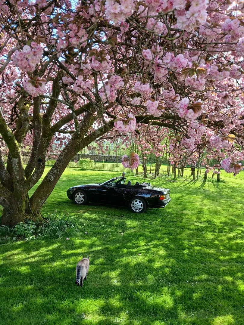 Porsche 944 - 1
