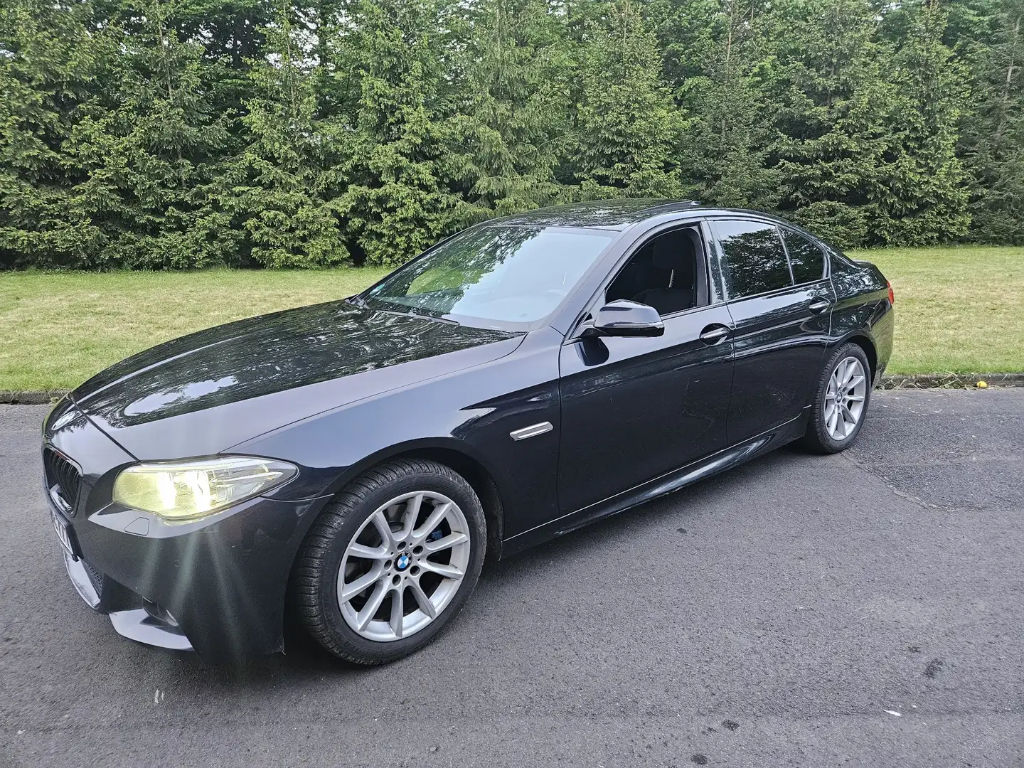 BMW 520 Bmw F10 520d xDrive Aut. Bleu - 1