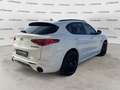 Alfa Romeo Stelvio Stelvio 2.2 Turbodiesel 210 CV AT8 Q4 Veloce - thumbnail 5