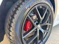 Alfa Romeo Stelvio Stelvio 2.2 Turbodiesel 210 CV AT8 Q4 Veloce - thumbnail 21