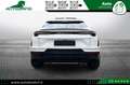 Lamborghini Urus 4.0 S Iva esposta Bianco - thumbnail 5
