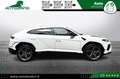Lamborghini Urus 4.0 S Iva esposta Bianco - thumbnail 7