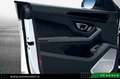 Lamborghini Urus 4.0 S Iva esposta Bianco - thumbnail 11