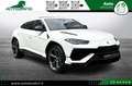 Lamborghini Urus 4.0 S Iva esposta Bianco - thumbnail 8