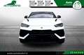Lamborghini Urus 4.0 S Iva esposta Bianco - thumbnail 2