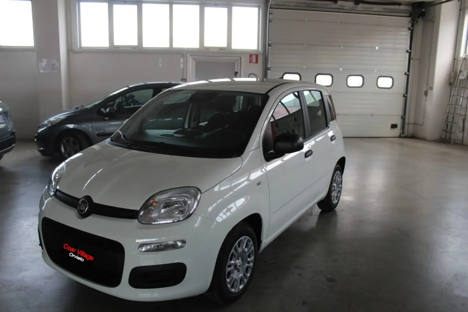 Fiat Panda 1.0 FireFly S&S Hybrid Bianco - 1