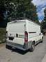 Fiat Ducato Ducato Camper Van Wohnmobil Multijet 100 - thumbnail 18