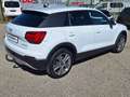 Audi Q2 30 TDI 116 BVM6 Design Blanc - thumbnail 5
