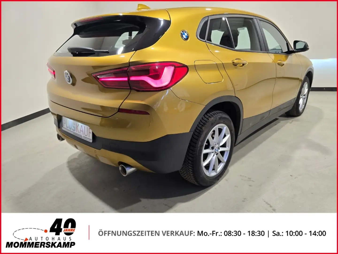 BMW X2 sDrive 20 i Advantage+Automatik+Allwetter+PDC+Navi Or - 2