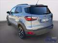 Ford EcoSport 1.0 EcoBoost 125 CV Start&Stop Active Grigio - thumbnail 13