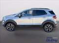 Ford EcoSport 1.0 EcoBoost 125 CV Start&Stop Active Grigio - thumbnail 12