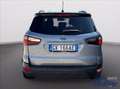 Ford EcoSport 1.0 EcoBoost 125 CV Start&Stop Active Grigio - thumbnail 14