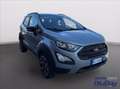 Ford EcoSport 1.0 EcoBoost 125 CV Start&Stop Active Grigio - thumbnail 3