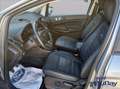 Ford EcoSport 1.0 EcoBoost 125 CV Start&Stop Active Grigio - thumbnail 9