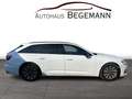 Audi A6 Av 50 TDI quattro design Luft Matrix Pano Белый - thumbnail 6