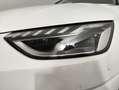 Audi A4 Avant 30 TDI/136 CV S tronic Business Advanced Bianco - thumbnail 7