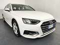 Audi A4 Avant 30 TDI/136 CV S tronic Business Advanced Bianco - thumbnail 5