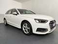 Audi A4 Avant 30 TDI/136 CV S tronic Business Advanced Bianco - thumbnail 4