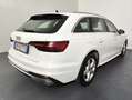 Audi A4 Avant 30 TDI/136 CV S tronic Business Advanced Bianco - thumbnail 13