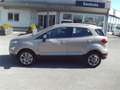 Ford EcoSport 1,0 EcoBoost Titanium Beige - thumbnail 8
