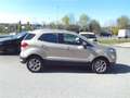 Ford EcoSport 1,0 EcoBoost Titanium Beige - thumbnail 7