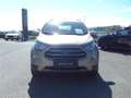 Ford EcoSport 1,0 EcoBoost Titanium Beige - thumbnail 2