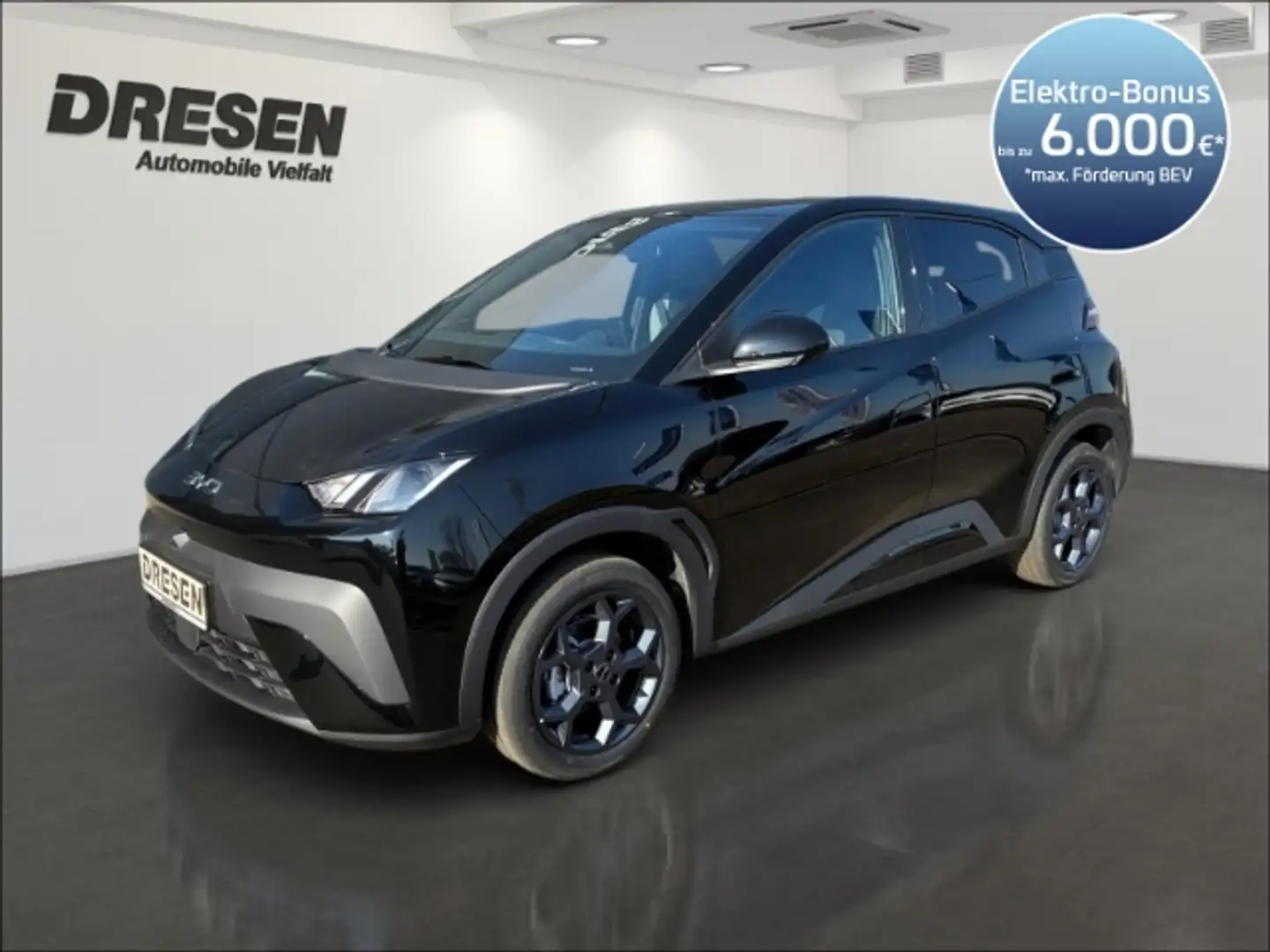 BYD Dolphin Comfort/43,2 kWh/Sitzheizung/360 Kamera/Navi/Klima Schwarz - 1