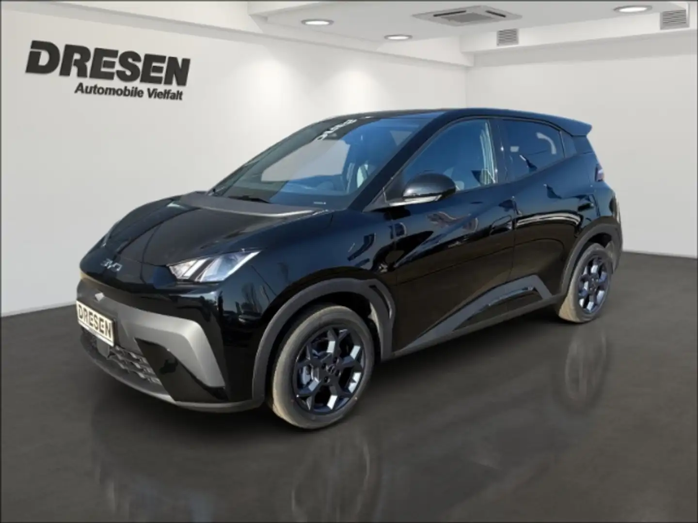 BYD Dolphin Comfort/43,2 kWh/Sitzheizung/360 Kamera/Navi/Klima Negro - 1