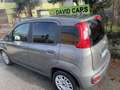 Fiat Panda 1.0 hybrids&s 70cv Occasione 5p.ti - thumbnail 3