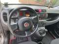 Fiat Panda 1.0 hybrids&s 70cv Occasione 5p.ti - thumbnail 5