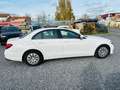 Mercedes-Benz E 200 d Lim 9G-Tronic Weiß - thumbnail 7