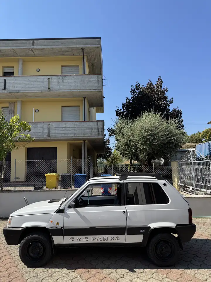 Fiat Panda 1.0 4x4 my86, foto 1