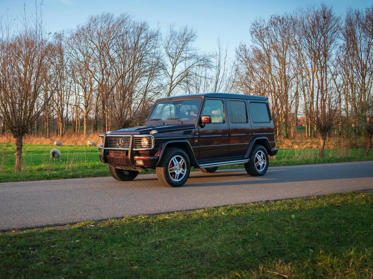 Mercedes-Benz G 500 classic 1/500, foto 3