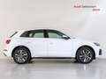 Audi Q5 40 TDI quattro-ultra Advanced S tronic 150kW Bianco - thumbnail 3