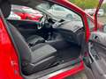 Ford Fiesta Sync Edition mit Alu und Klima Rot - thumbnail 9