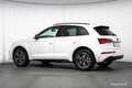 Audi Q5 40 TDI quattro 2xS-LINE Aut. 360° AHK STHZ ASSIST Weiß - thumbnail 47
