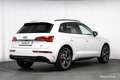 Audi Q5 40 TDI quattro 2xS-LINE Aut. 360° AHK STHZ ASSIST Weiß - thumbnail 40