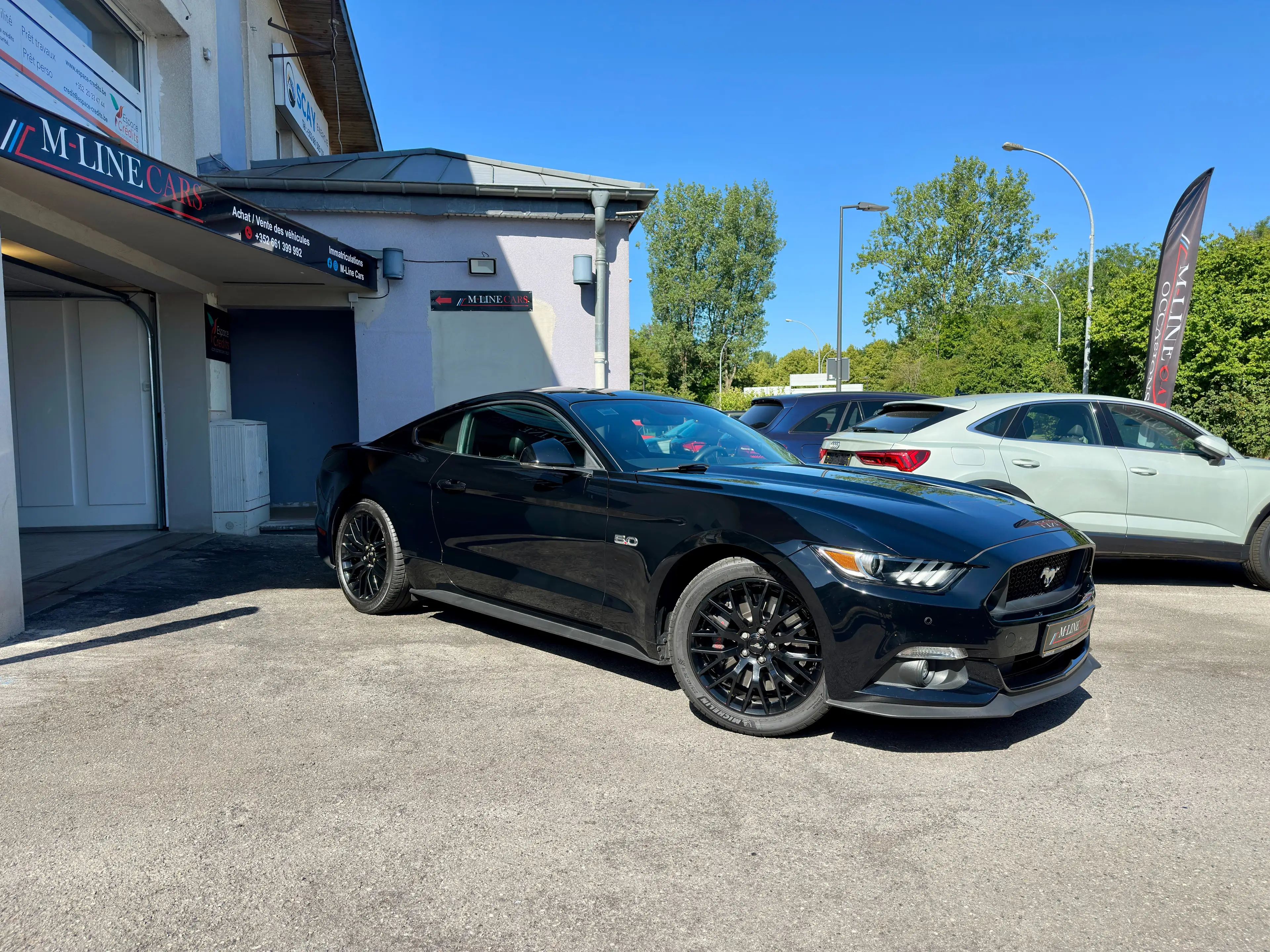 Ford Mustang Mustang GT 5.0 V8 421 ch BVM 6