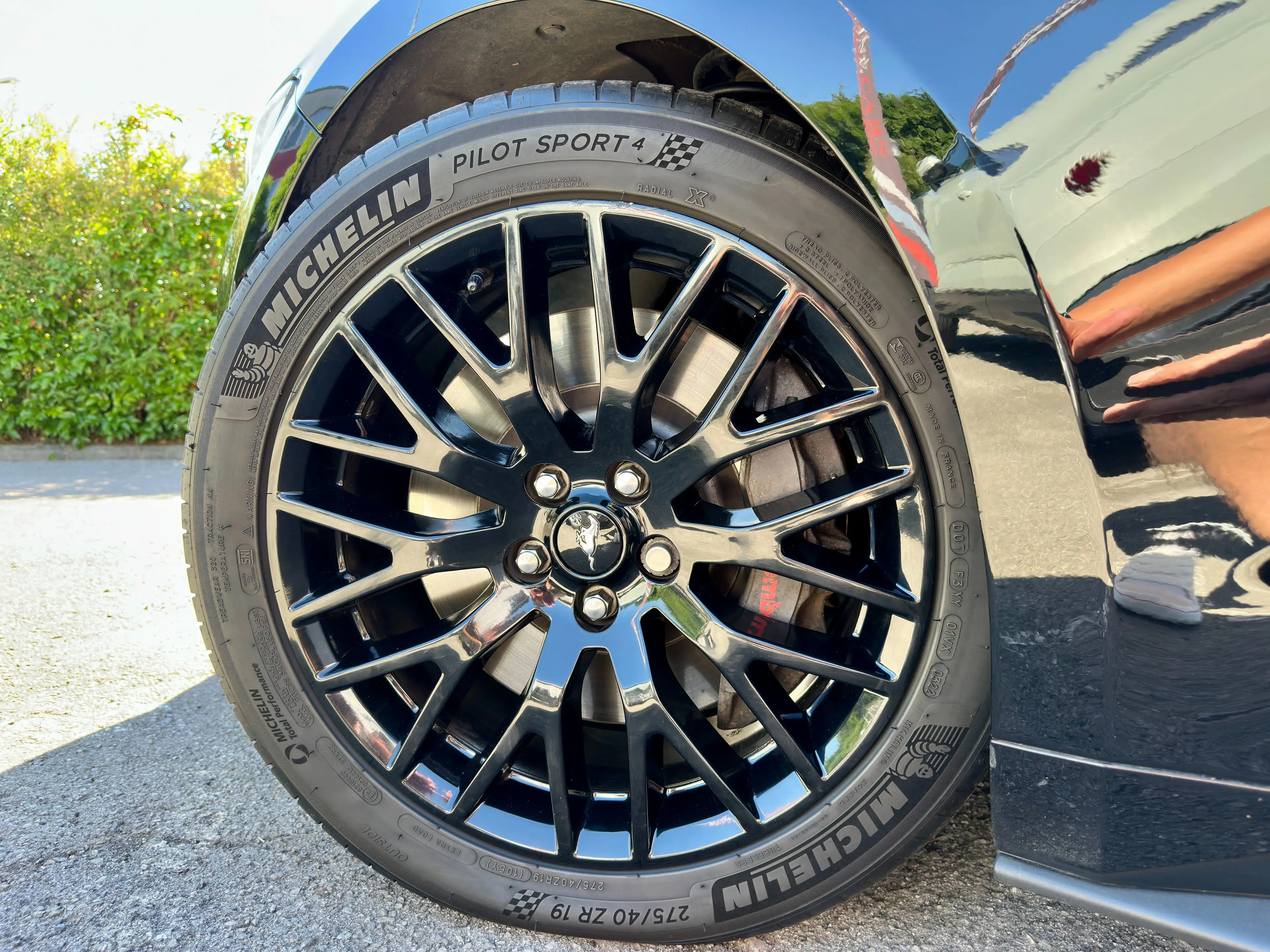 Ford Mustang Mustang GT 5.0 V8 421 ch BVM 6 — photo 14