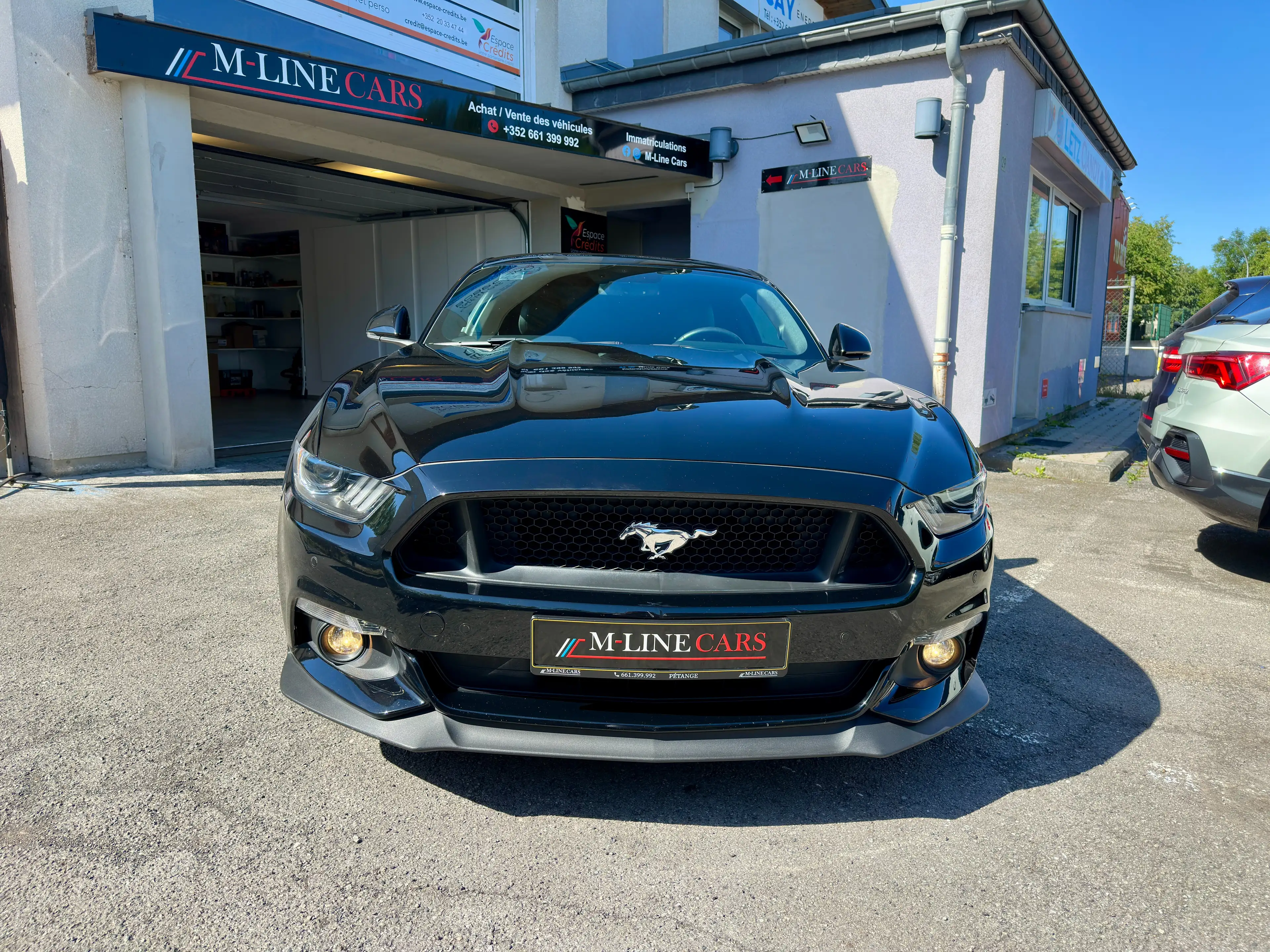Ford Mustang Mustang GT 5.0 V8 421 ch BVM 6 — photo 2