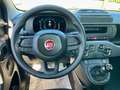Fiat Panda 1.0 FireFly S&S Hybrid - KM0 Giallo - thumbnail 15