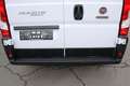 Fiat Ducato Ducato MAXI L4H3 140 Beifahrerairbag Kamera Par... Weiß - thumbnail 9