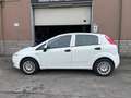 Fiat Punto Punto 5p 1.4 easypower Gpl - BOMBOLA NUOVA Bianco - thumbnail 5