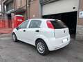 Fiat Punto Punto 5p 1.4 easypower Gpl - BOMBOLA NUOVA Bianco - thumbnail 4