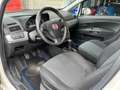 Fiat Punto Punto 5p 1.4 easypower Gpl - BOMBOLA NUOVA Bianco - thumbnail 13