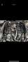 Mercedes-Benz E 350 CDI DPF 4Matic BlueEFFICIENCY 7G-TRONIC - thumbnail 4
